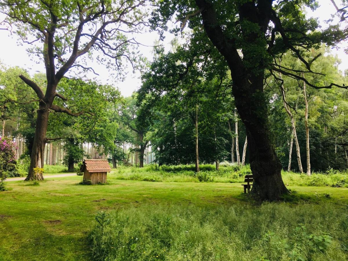 Hollicarrs - Long Lane Lodge Йорк Екстер'єр фото