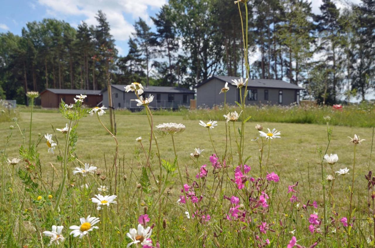 Hollicarrs - Long Lane Lodge Йорк Екстер'єр фото